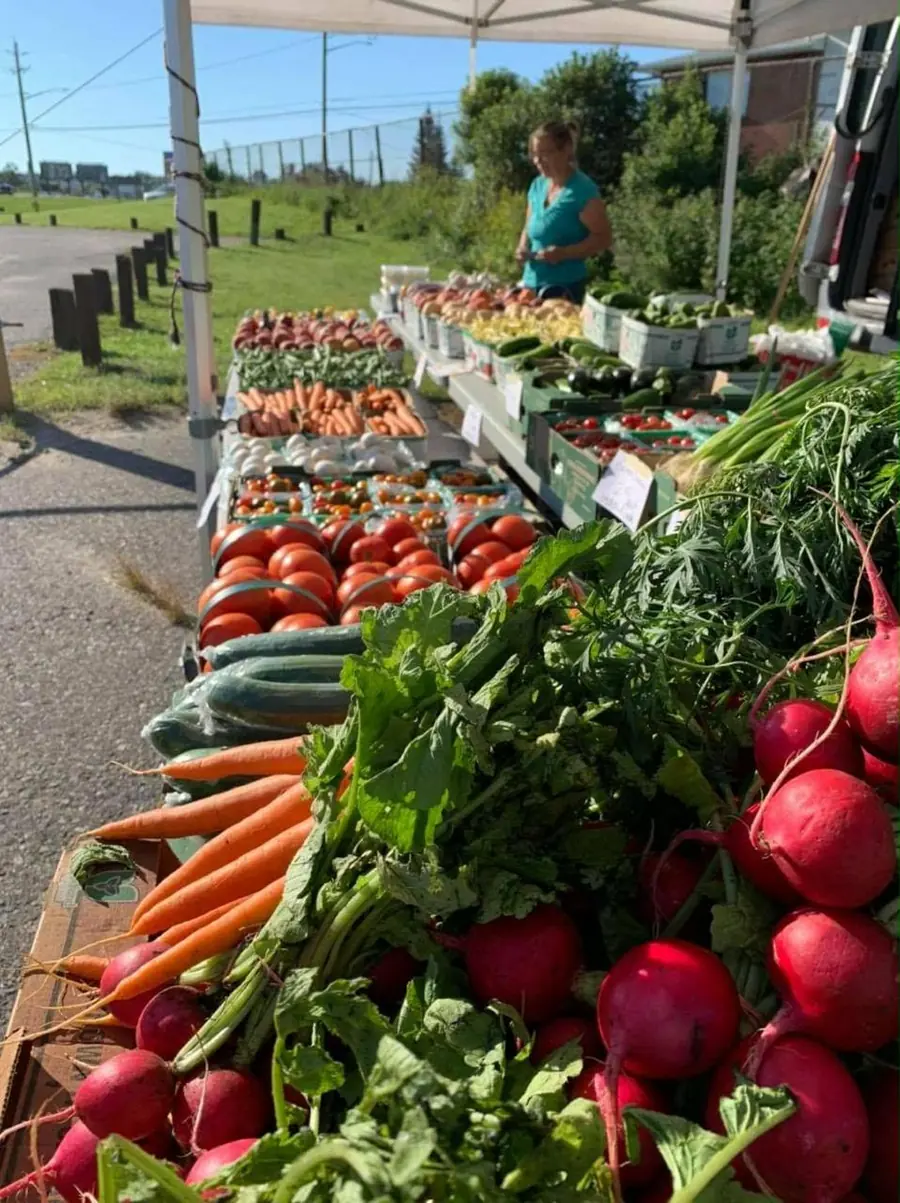 The outdoor farm stand with fresh vegetables